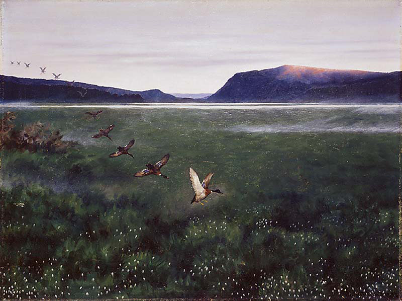 The Twelve Wild Ducks